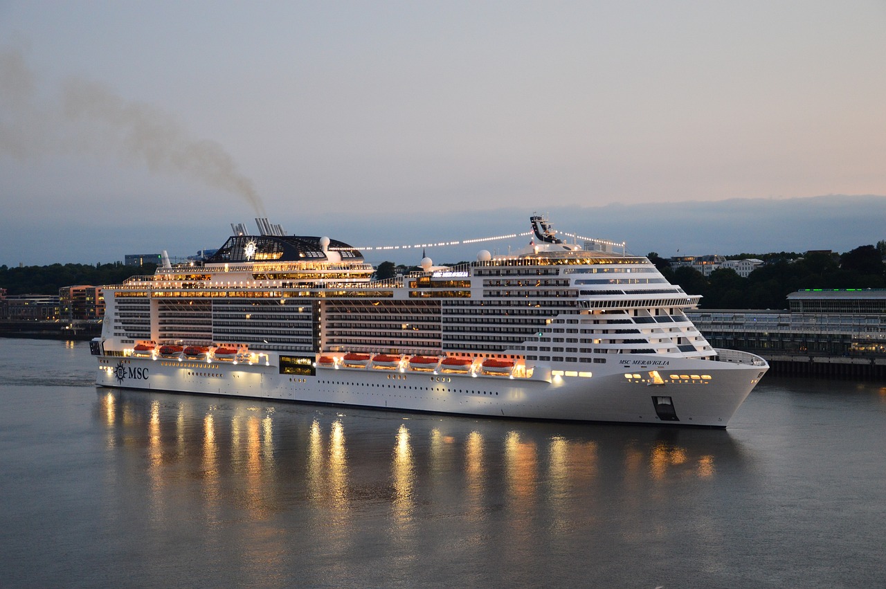 The Environmental Impact of Cruise Tourism